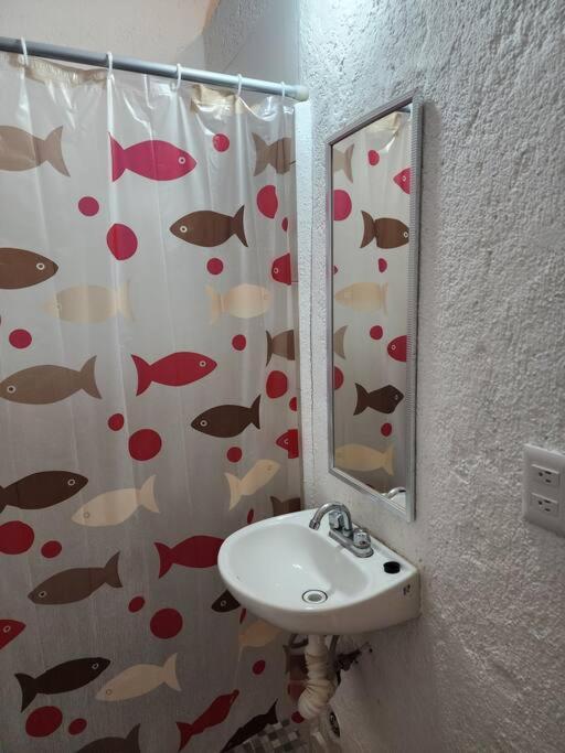 Small Studio Apt 5Min To Dt! Zihuatanejo Eksteriør bilde