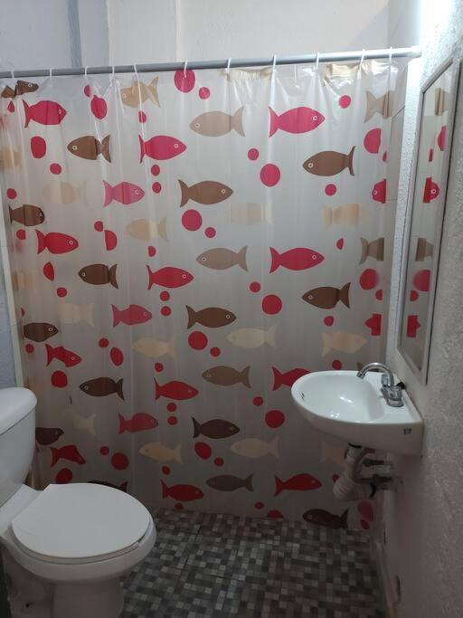 Small Studio Apt 5Min To Dt! Zihuatanejo Eksteriør bilde